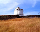 Goa Fort