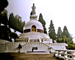 Peace Pagoda Darjeeling