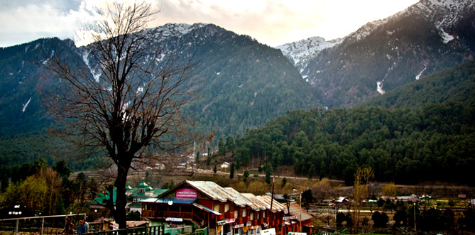 Amarnath Yatra 