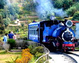 Darjeeling Toy Train