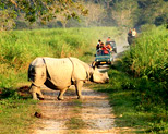 Kaziranga National Park