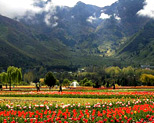 Zabarwan Hills Srinagar