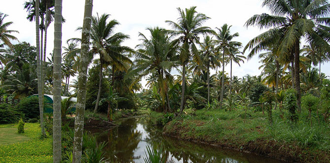 Kumarakom