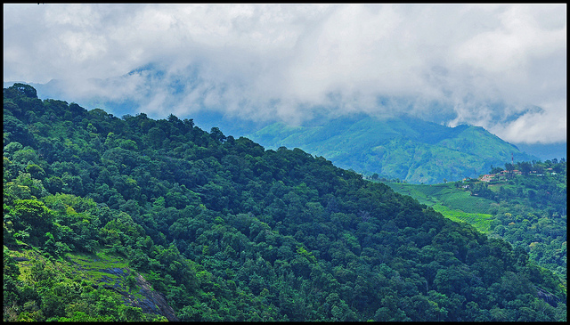 Misty Mountains Munnar