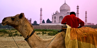 Golden Triangle Travel