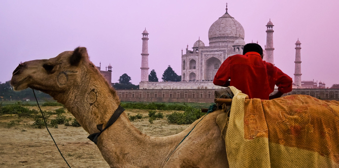 Pushkar Golden Triangle Tour