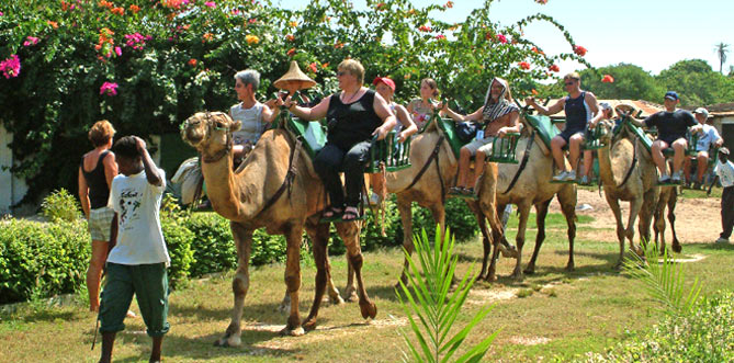 Rajasthan Camel Safari