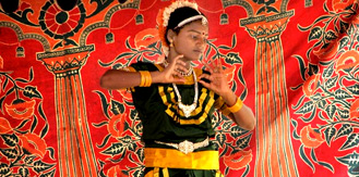 Tamil Nadu Cultural Tour