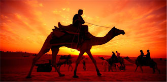 Rajasthan Tour