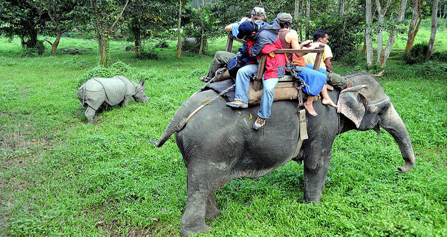 Chitwan National Park