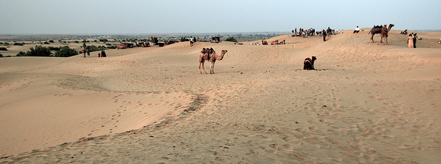 Sand Dunes Jaisalmer