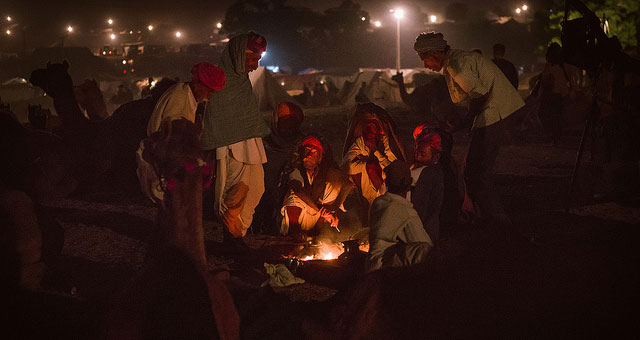 Camel Sellers During Pushkar Fair