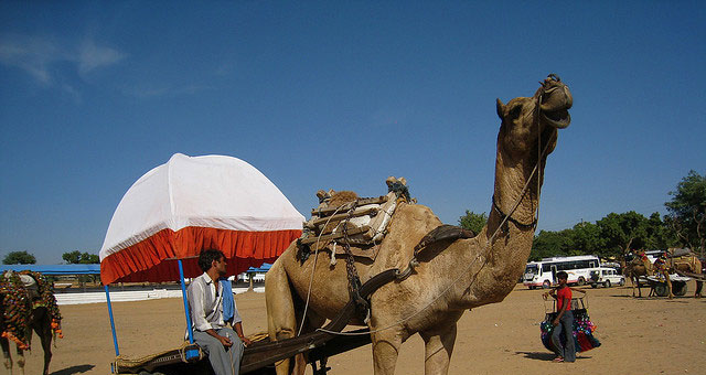 Pushkar Fair