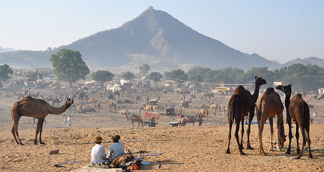 Pushkar Fair