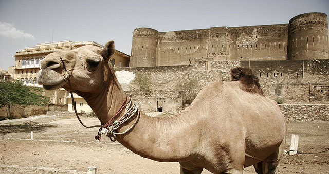 Roopangarh Fort